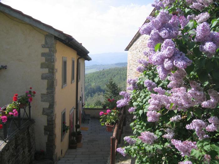 Hotel Borgo Tramonte à Pratovecchio Extérieur photo