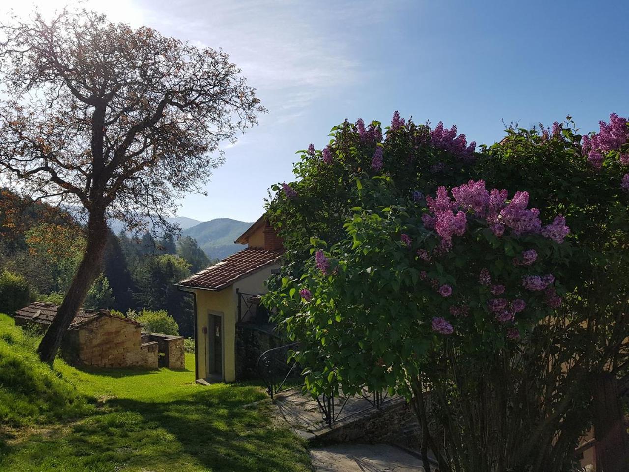 Hotel Borgo Tramonte à Pratovecchio Extérieur photo